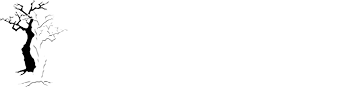 Two-Trees-Studio-Corporation-Logo-